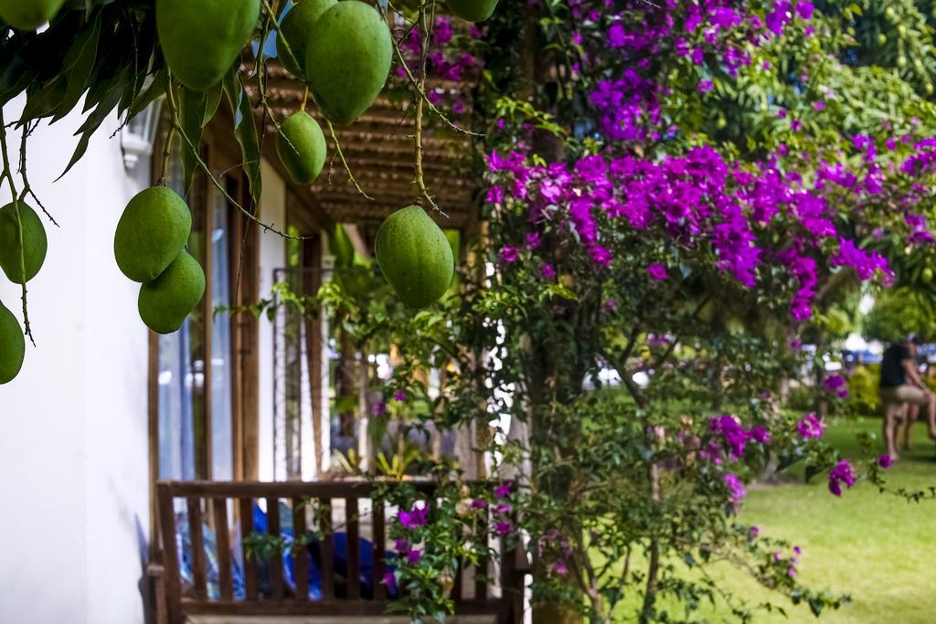 La Em Casa - Guest House Barra Grande  Zewnętrze zdjęcie